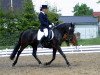 broodmare Flora 123 (German Riding Pony, 1997, from Neckar)