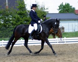 broodmare Flora 123 (German Riding Pony, 1997, from Neckar)