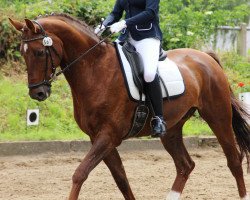 dressage horse Flaneur (Rhinelander, 2002, from Fidermark)