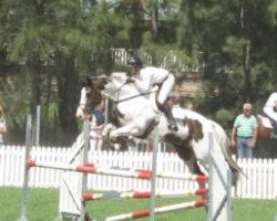 Springpferd Copabella Vortex (ISSA-Warmblut (Australien), 2006, von Copabella Visage)