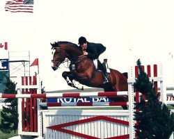 stallion Buntspecht de Lauzelle (Belgian Warmblood, 1978, from Fürst Ferdinand)