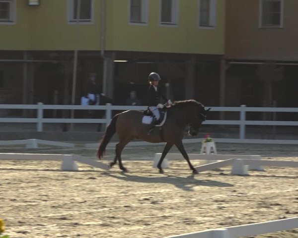 Reitturnier K, St. Margarethen-Stückler 2022