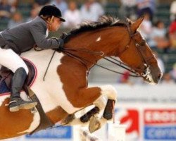 jumper Nepos van Limbo (Belgium Sporthorse, 1997, from Limbo)