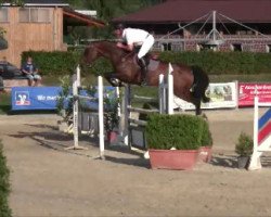 jumper Coco J'Aime La Vie (Danish Warmblood, 2006, from Lorentin I)