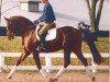 stallion Donnerwerth (Oldenburg, 1991, from Donnerschlag)