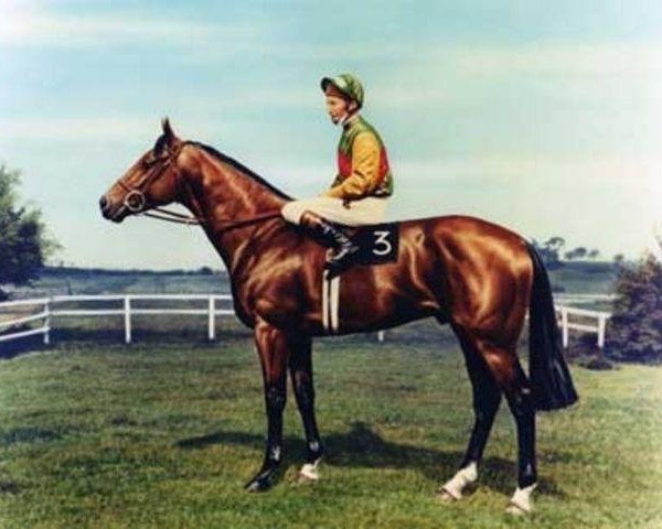 stallion Nijinsky xx (Thoroughbred, 1967, from Northern Dancer xx)
