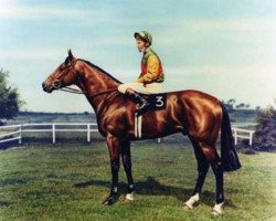 Deckhengst Nijinsky xx (Englisches Vollblut, 1967, von Northern Dancer xx)