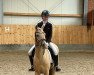 dressage horse Mr. Miagi S (German Riding Pony, 2014, from FS Mr. Right)