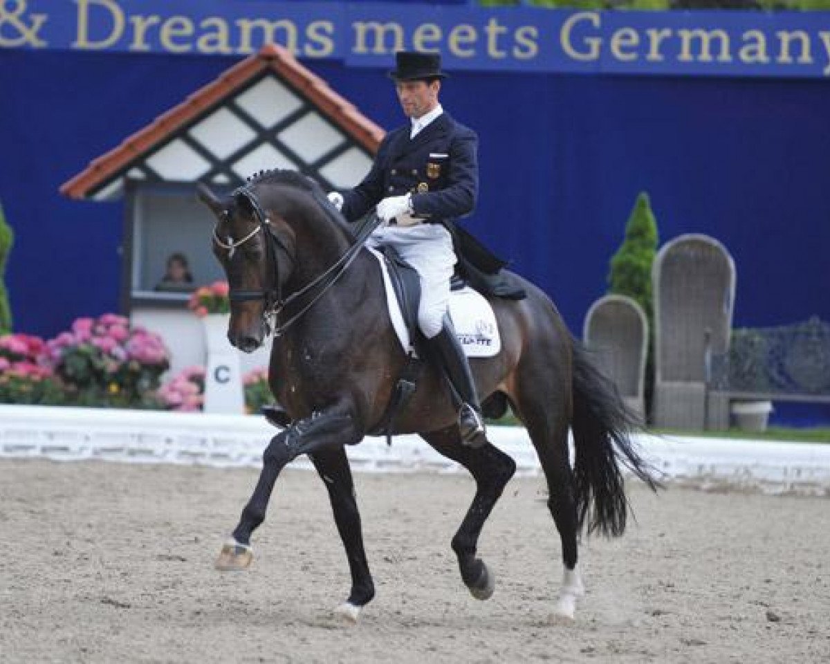 stallion Farewell III (Westphalian, 2000, from Fidermark)