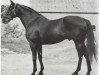 stallion March Past xx (Thoroughbred, 1950, from Petition xx)