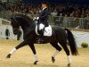 dressage horse Di Caprio (Hanoverian, 1996, from Davignon I)