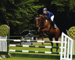 jumper Allemonn (Hanoverian, 1999, from Argentinus)