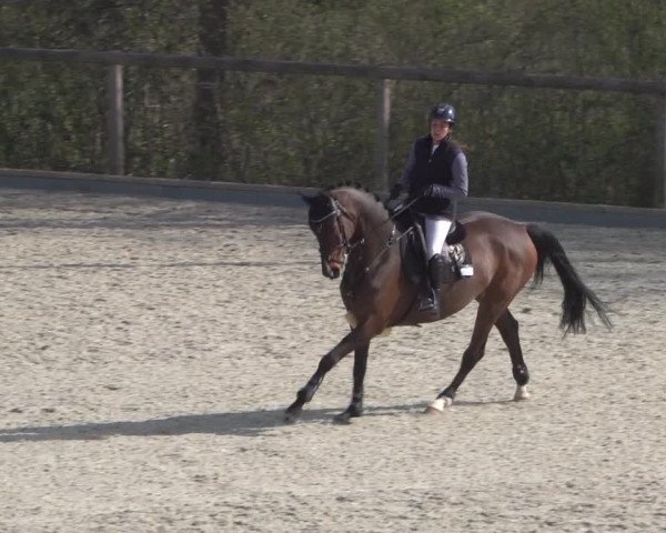 Reitturnier Erkrath - Uhlenhof 2022