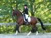 dressage horse Flamur Pur (Rhinelander, 2007, from Flamur)