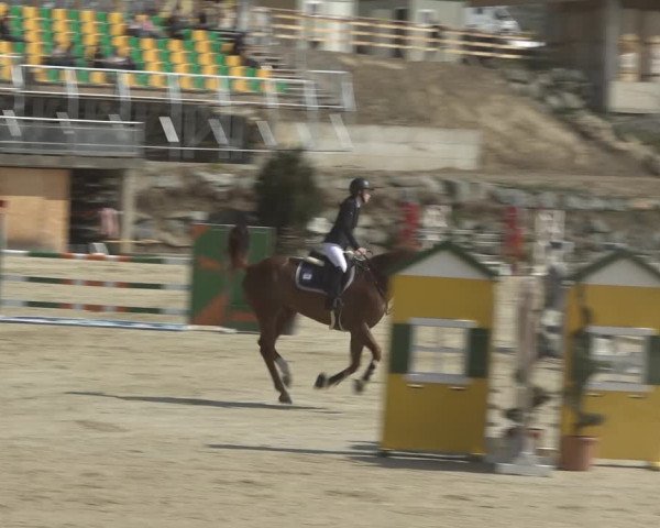 Reitturnier K, St. Margarethen-Stückler 2022