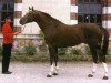 stallion Muguet du Manoir (Selle Français, 1978, from Artichaut)