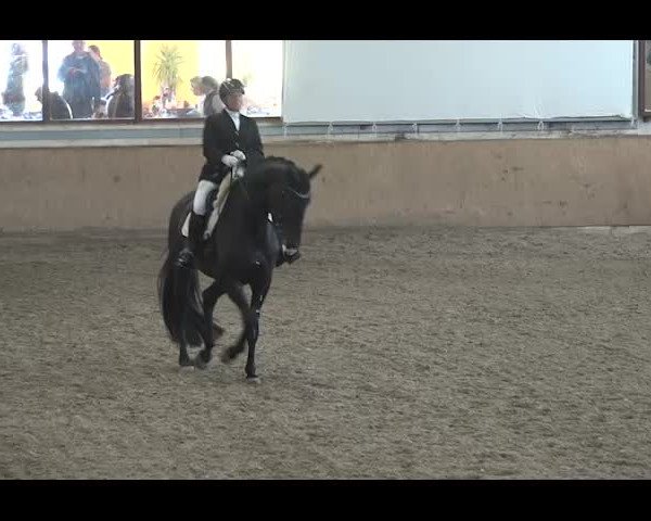 Reitturnier NÖ, Kottingbrunn 2022