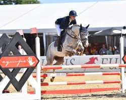 jumper Emilia 59 (German Riding Pony, 2016, from Del Piero 25)