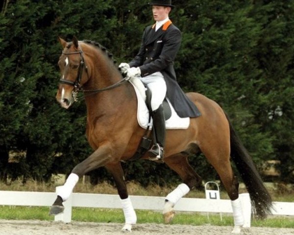 stallion Riverman (KWPN (Royal Dutch Sporthorse), 1998, from Kenwood)