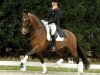 stallion Riverman (KWPN (Royal Dutch Sporthorse), 1998, from Kenwood)