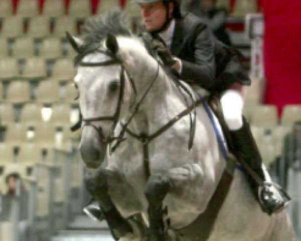 horse Ikarus B (Hanoverian, 1993, from Ile de Bourbon)