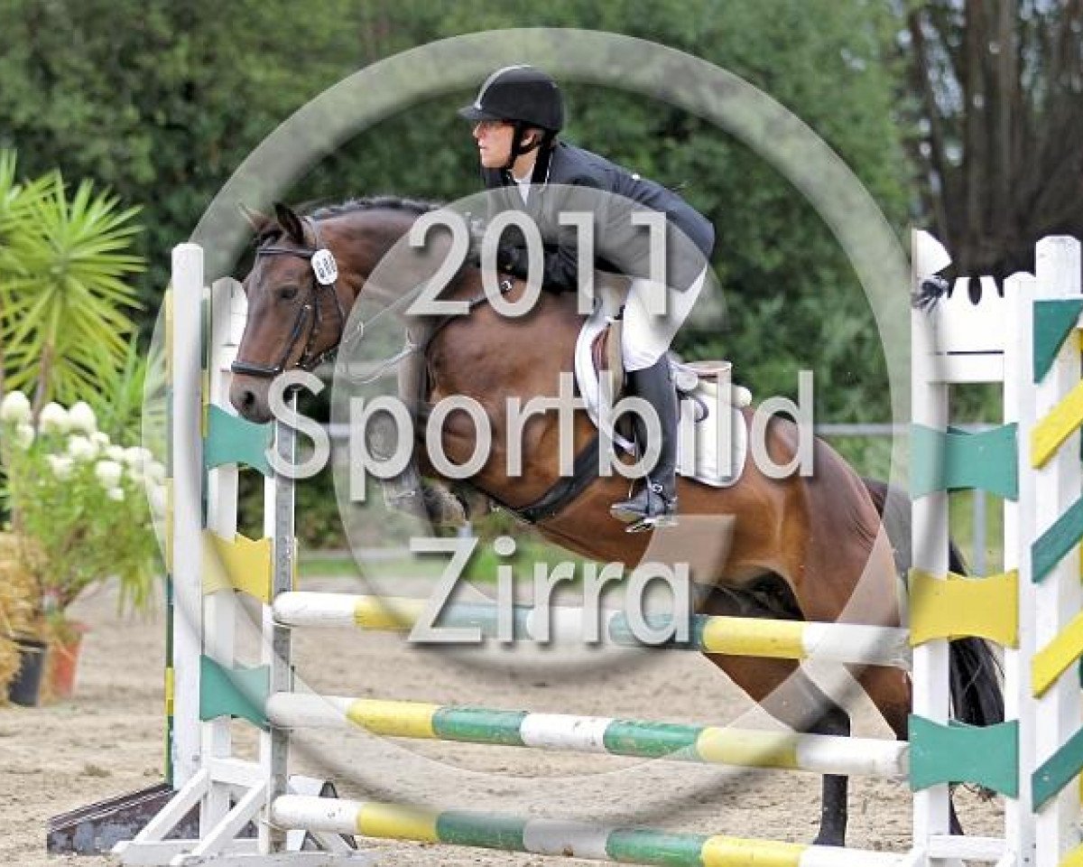 Zuchtstute Rilana (Connemara-Pony, 1995, von Rasmus)