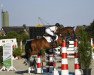 dressage horse Fluffy 8 (Westphalian, 2006, from Flovino)