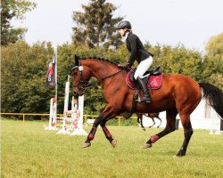 broodmare Damseys Ursel (Hanoverian, 2008, from Damsey FRH)