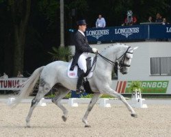 dressage horse Half Moon Delphi (Hanoverian, 2002, from Dimaggio)