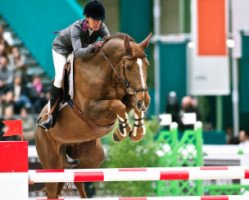 jumper Lacontino (Hanoverian, 2002, from Landgold)