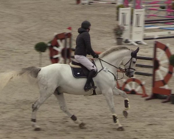 Reitturnier Westergellersen 2022