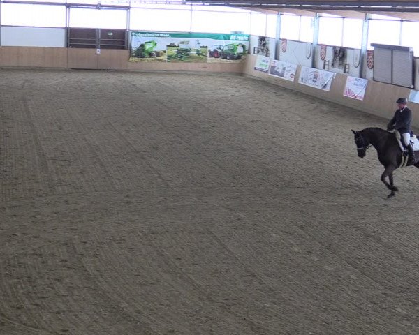 Reitturnier Borgholzhausen-Westbarthausen 2022