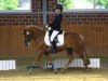 dressage horse Cooper Number One (Pony without race description, 2006)