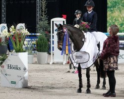 horse Dilba (Swedish Riding Pony, 2008, from Dirco)