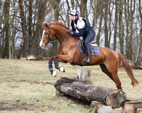 jumper Stefan Seine (Oldenburg, 2009, from Status Quo)