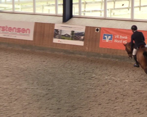 Reitturnier Niebüll 2022