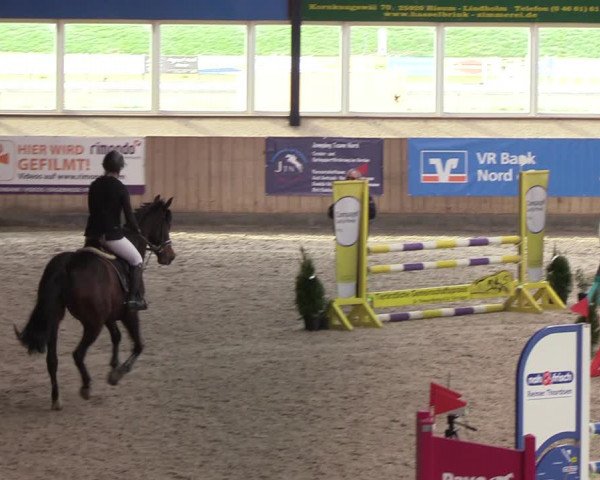 Reitturnier Niebüll 2022