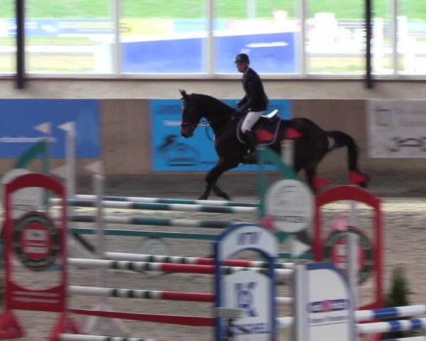 Reitturnier Niebüll 2022