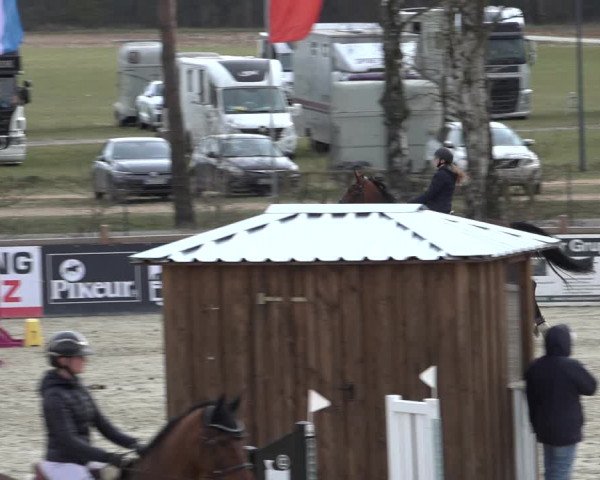 Reitturnier Westergellersen 2022