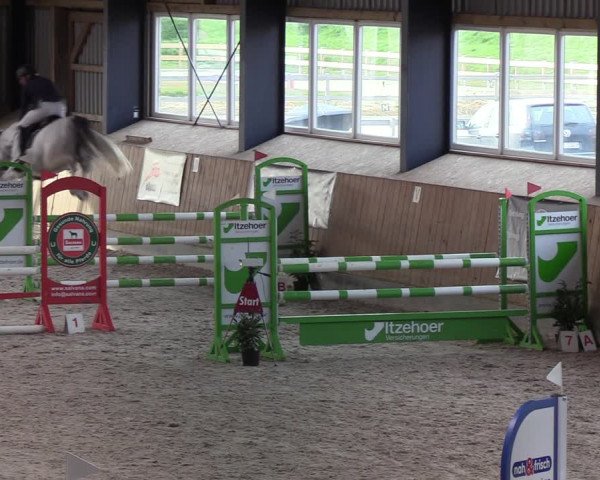 Reitturnier Niebüll 2022