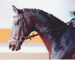 broodmare Riska Rosendiamant (Westphalian, 2003, from Rosendahl)