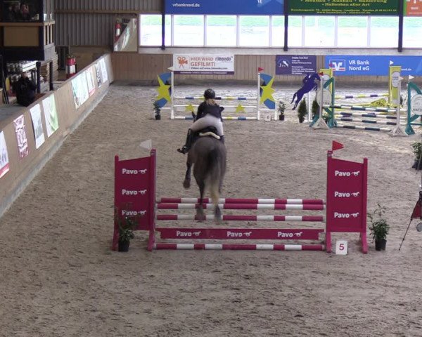Reitturnier Niebüll 2022
