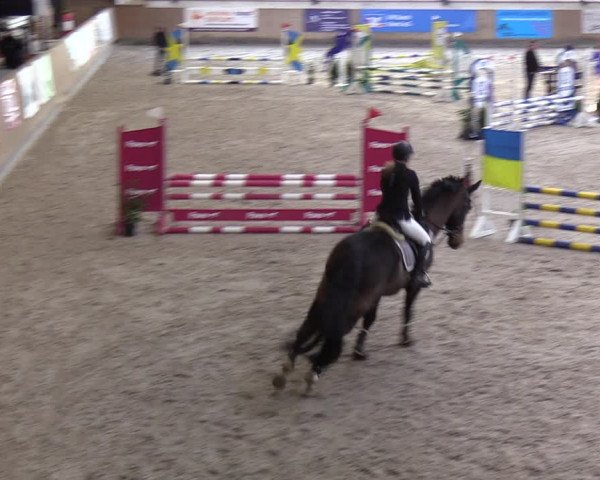 Reitturnier Niebüll 2022