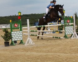 jumper Cordano's Touch (Zangersheide riding horse, 1996, from Cordano Z)