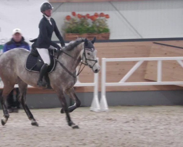 Reitturnier Borken 2022