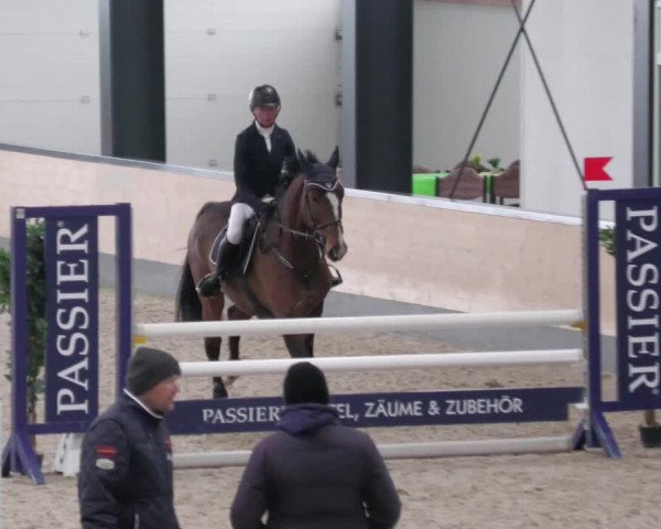 Reitturnier Borken 2022