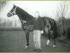 broodmare Haafke (KWPN (Royal Dutch Sporthorse), 1989, from Zandigo)