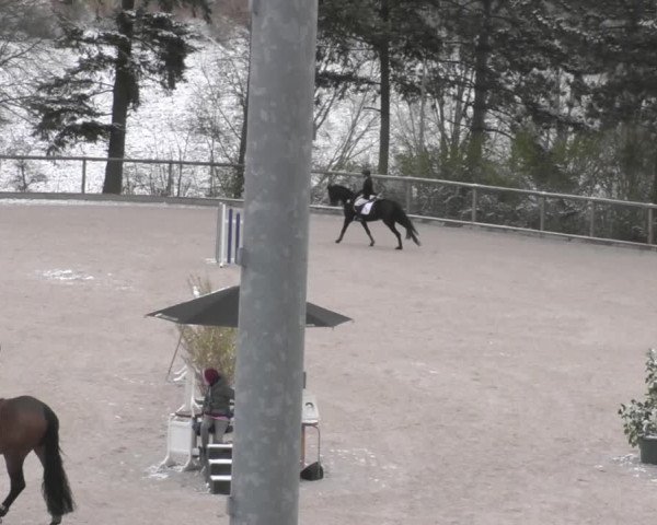 Reitturnier Erkrath - Uhlenhof 2022