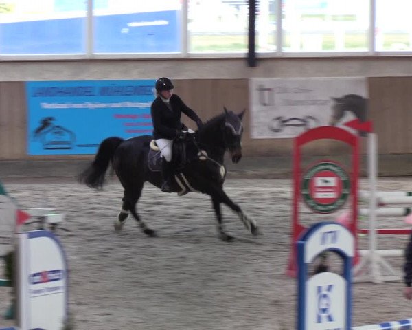 Reitturnier Niebüll 2022