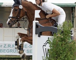 Springpferd Louis de Fune (Westfale, 2008, von Risohorse Locorotondo)